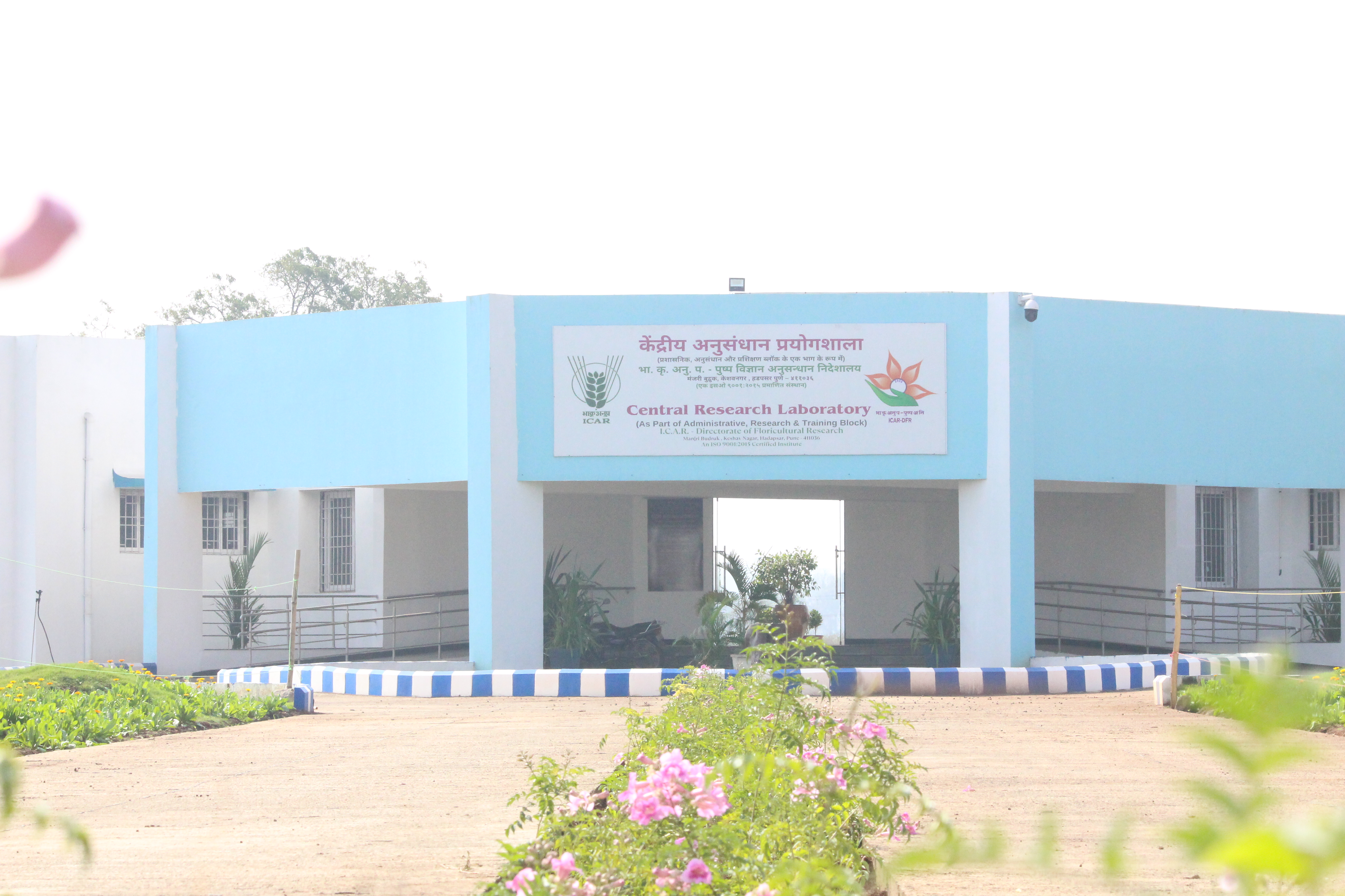 ICAR-Directorate of Floricultural Research